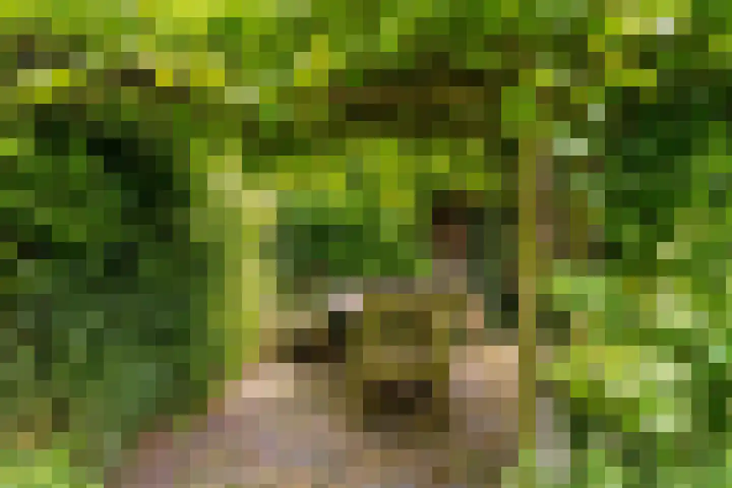 Wittewerf 23 Marken thumbnail 45