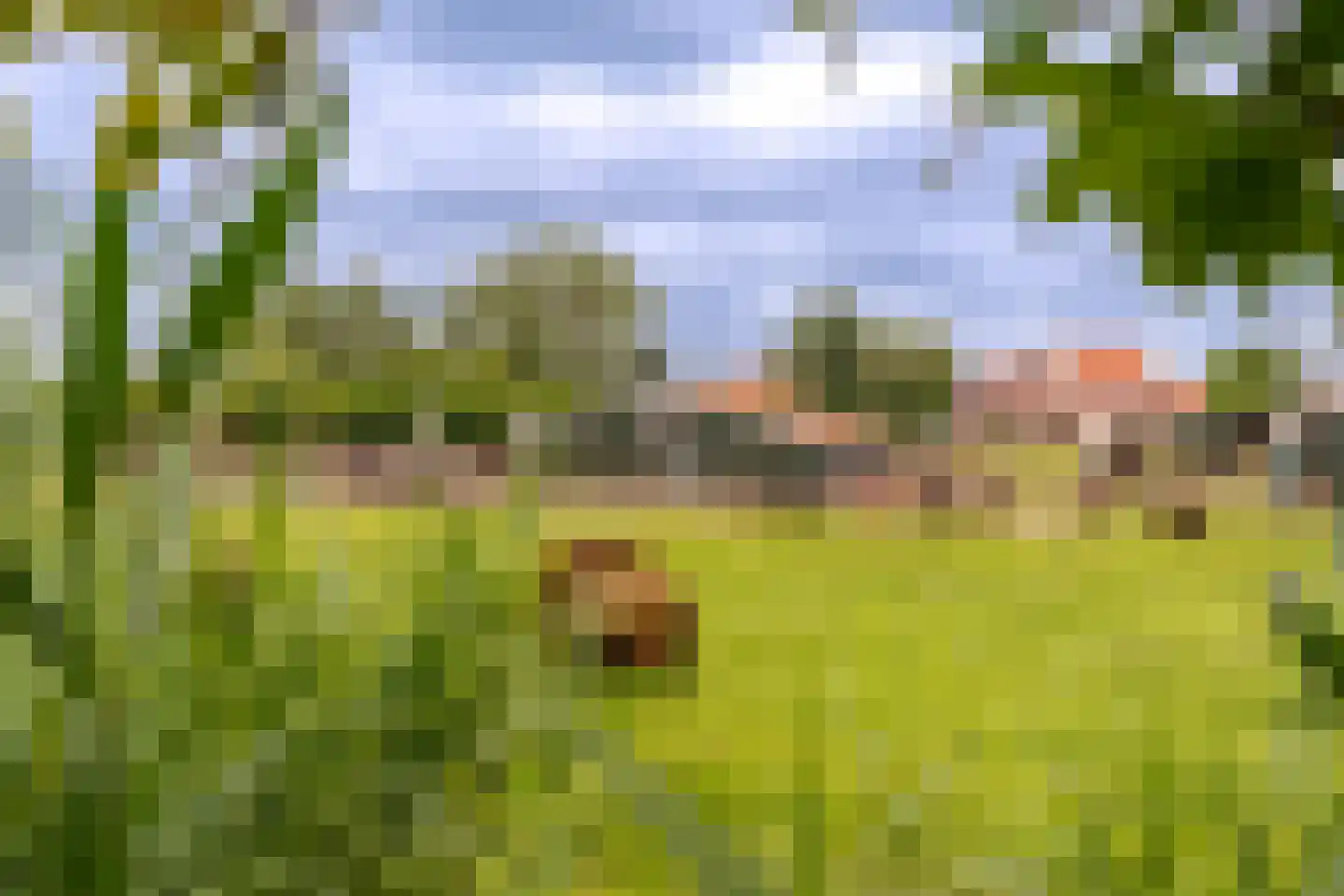 Wittewerf 23 Marken thumbnail 46