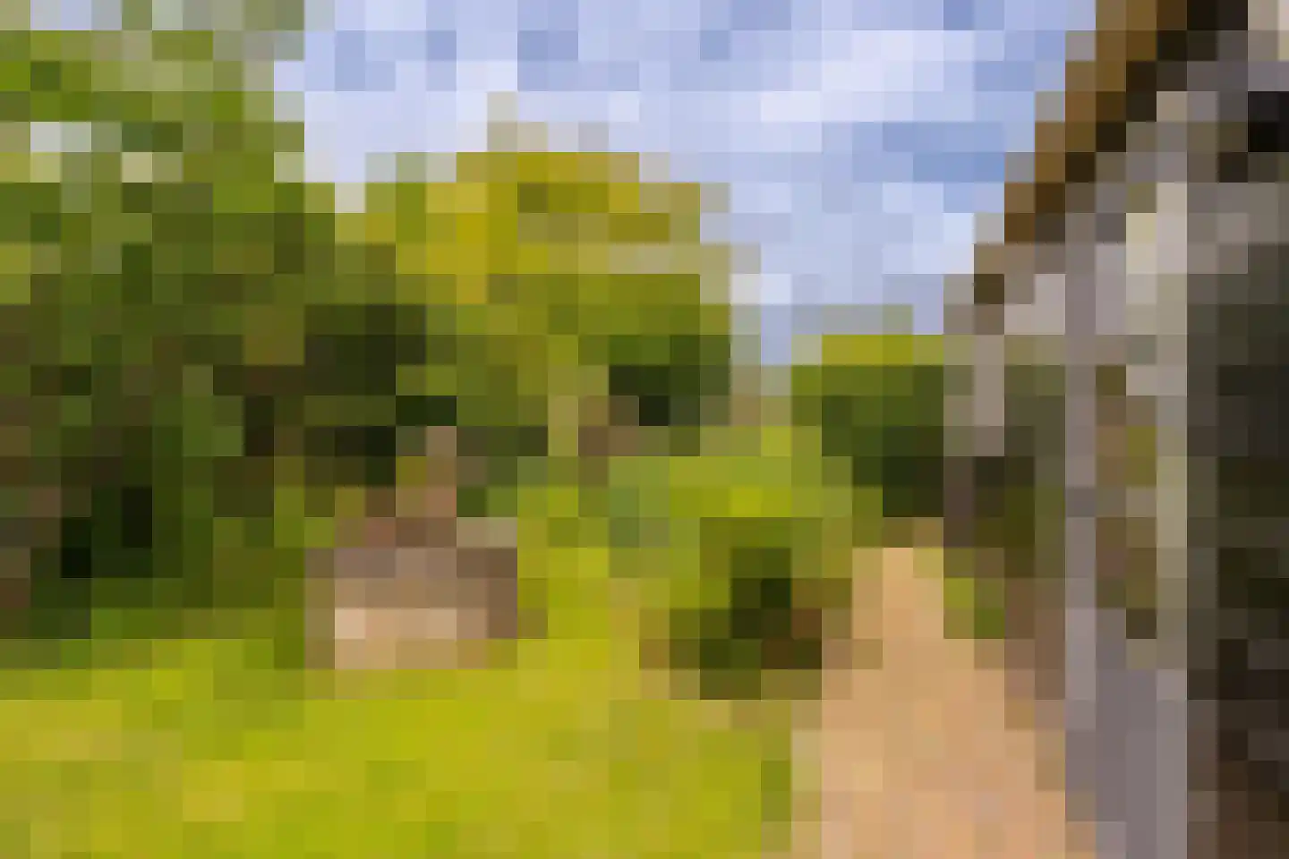 Wittewerf 23 Marken thumbnail 47