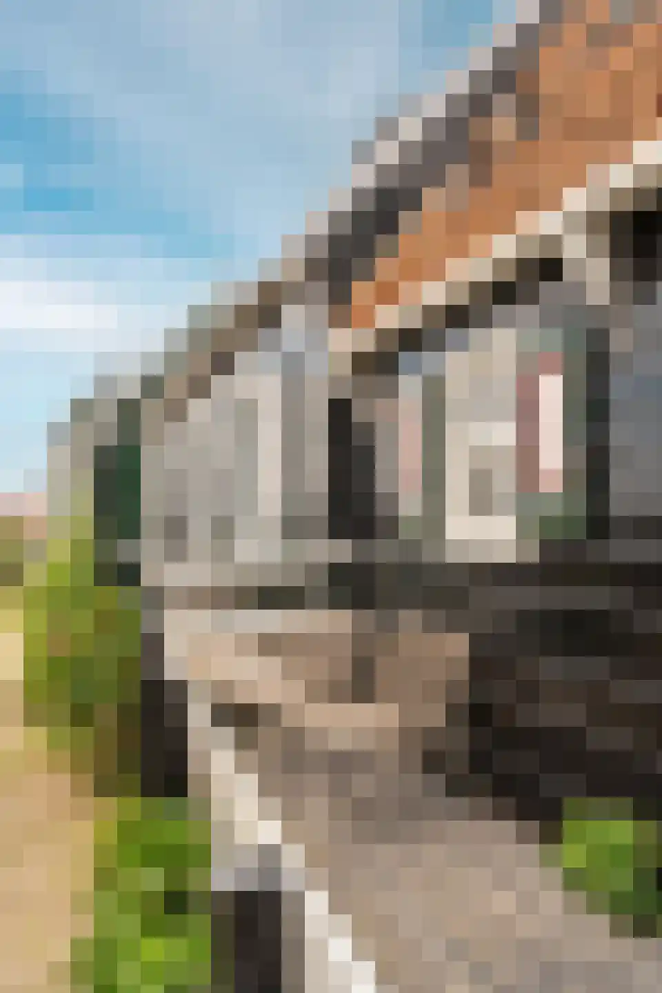 Wittewerf 23 Marken thumbnail 49