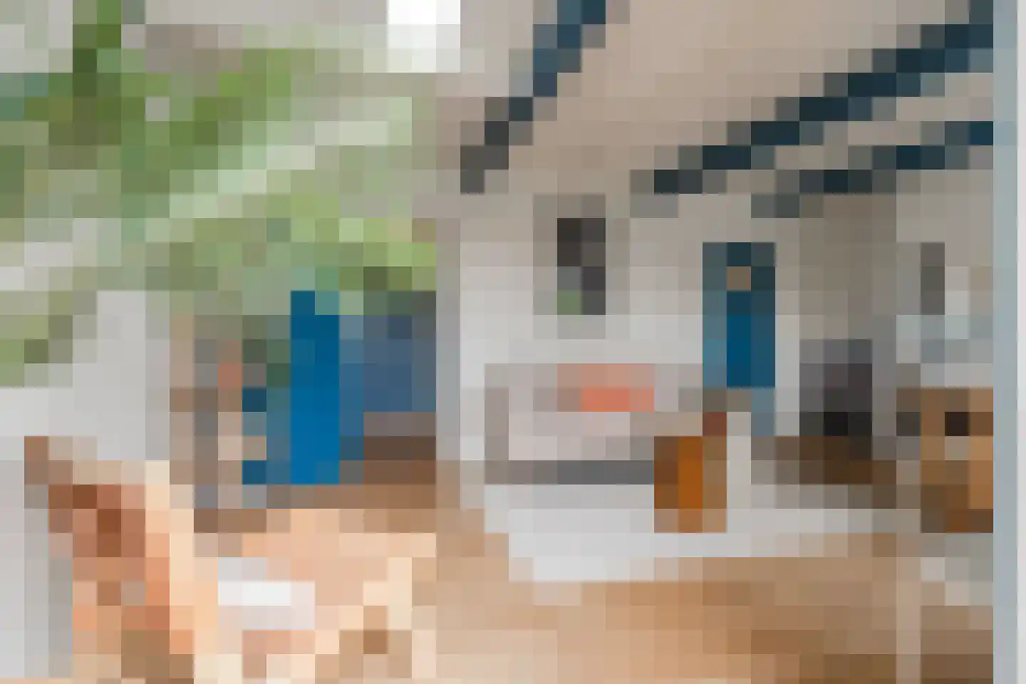 Wittewerf 23 Marken thumbnail 5
