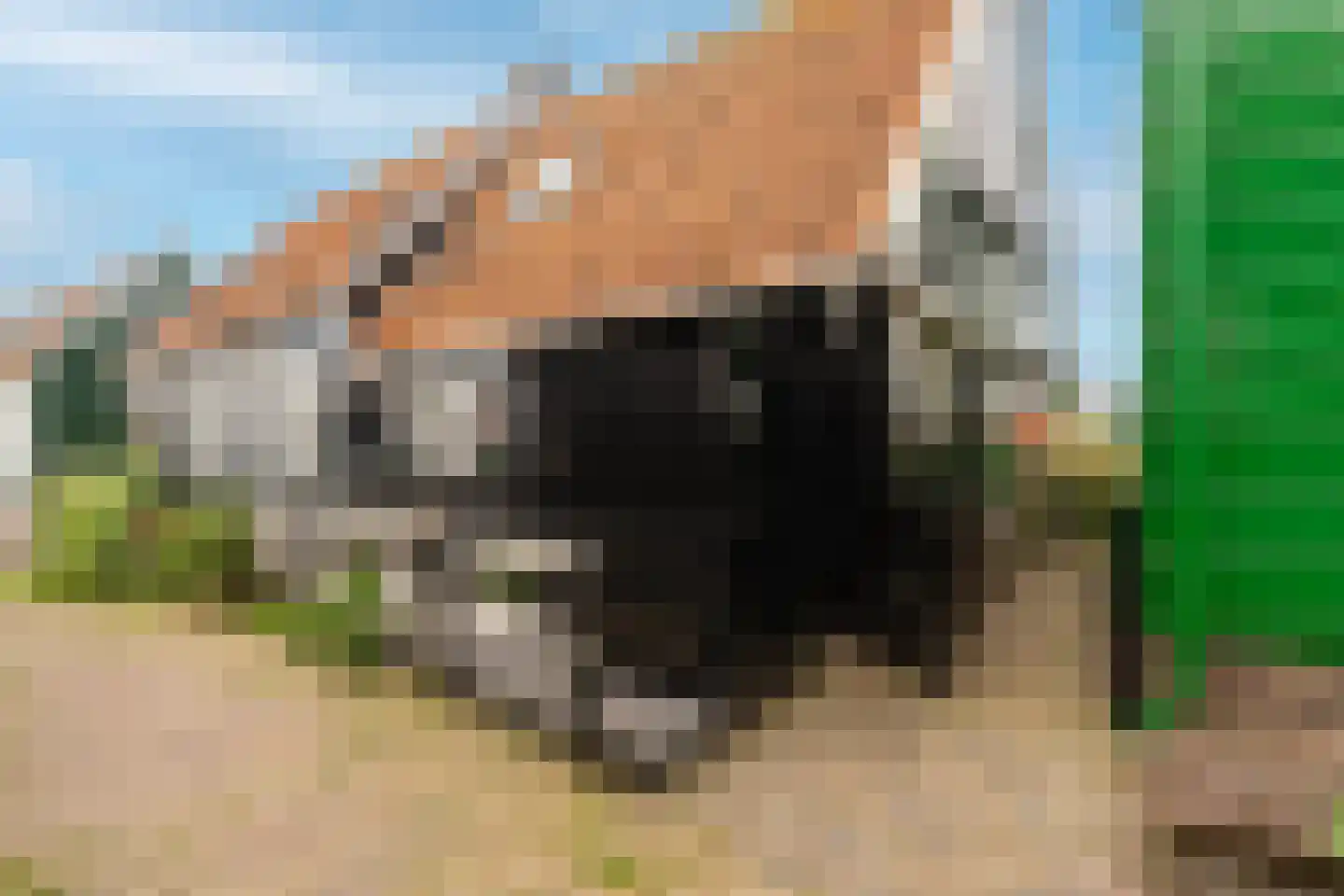 Wittewerf 23 Marken thumbnail 51