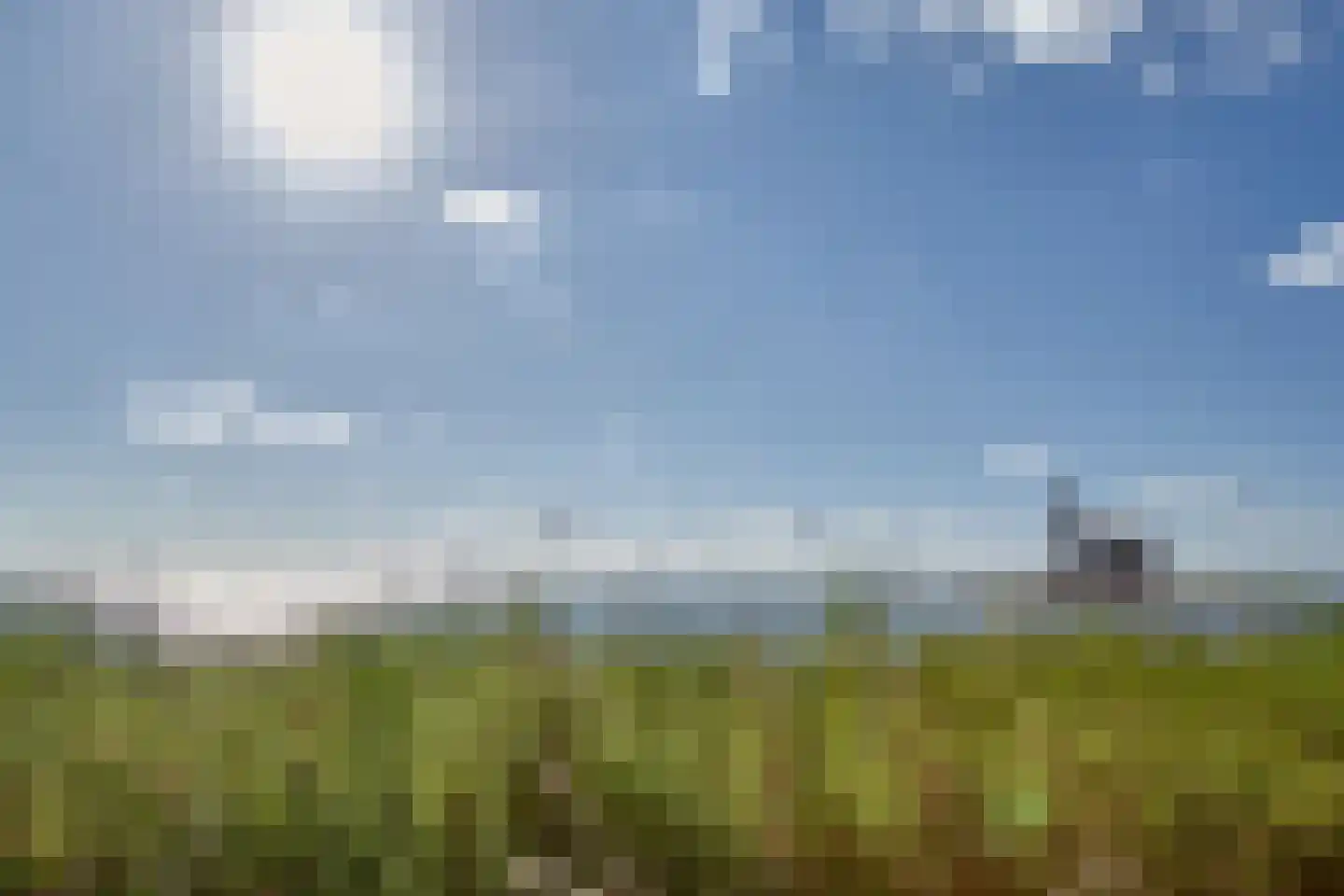 Wittewerf 23 Marken thumbnail 54