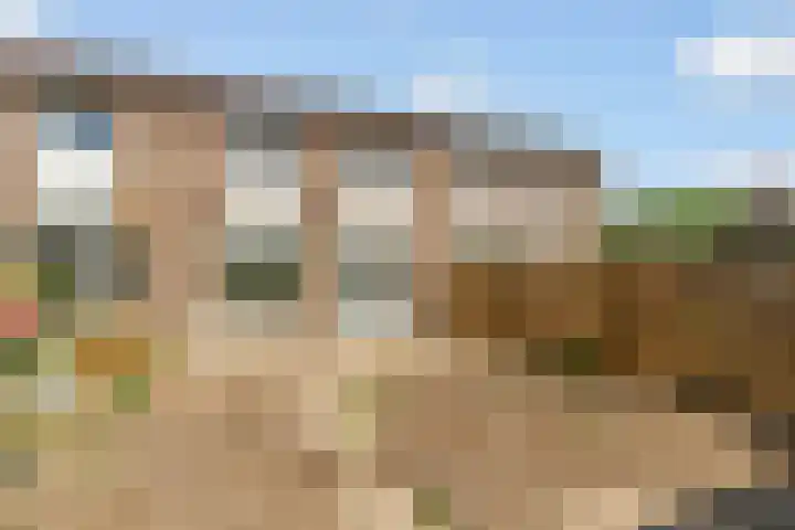 Wittewerf 50 Almere thumbnail 25