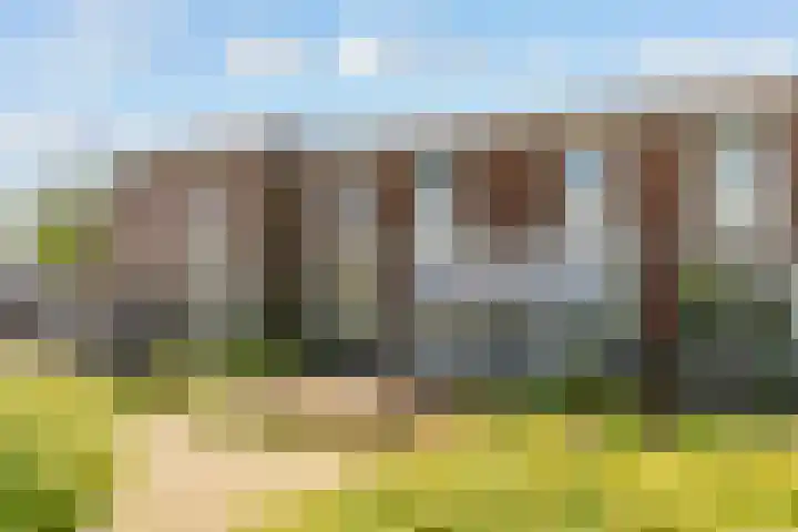 Wittewerf 50 Almere thumbnail 30