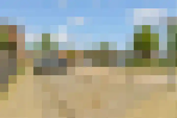 Wittewerf 50 Almere thumbnail 31