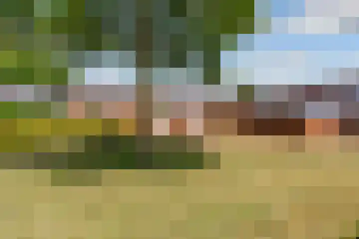 Wittewerf 50 Almere thumbnail 32