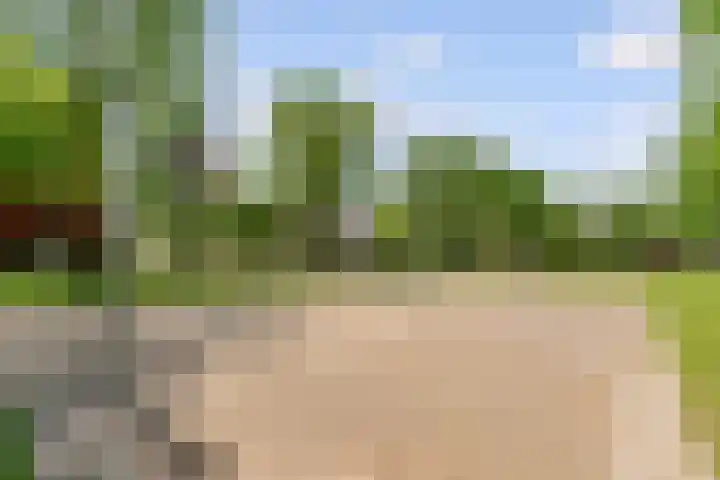 Wittewerf 50 Almere thumbnail 34