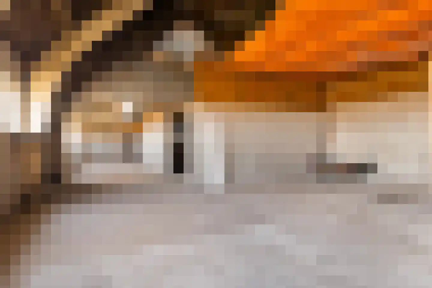 Wittewijk 6 Smilde thumbnail 52
