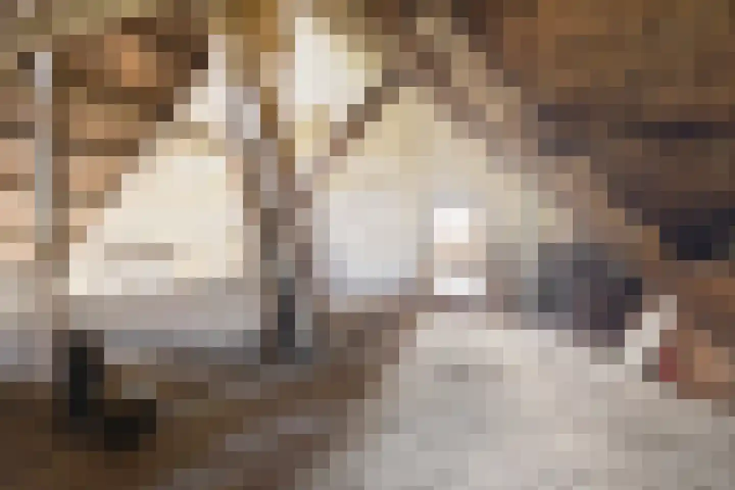 Wittewijk 6 Smilde thumbnail 55
