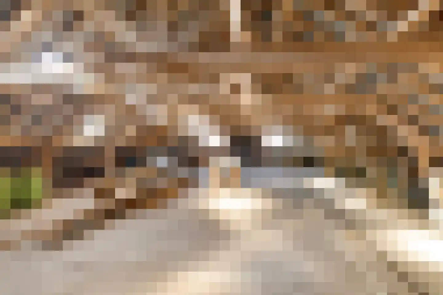 Wittewijk 6 Smilde thumbnail 59