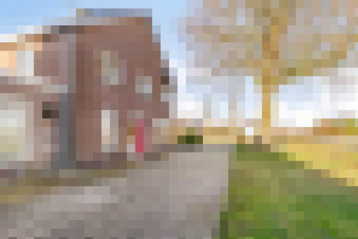 Wittewijk 6 Smilde thumbnail 72