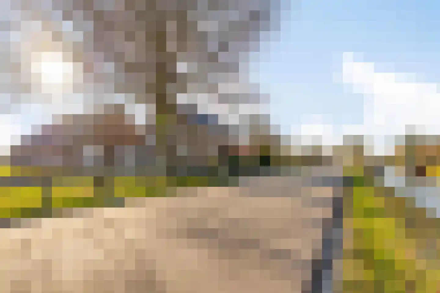 Wittewijk 6 Smilde thumbnail 8