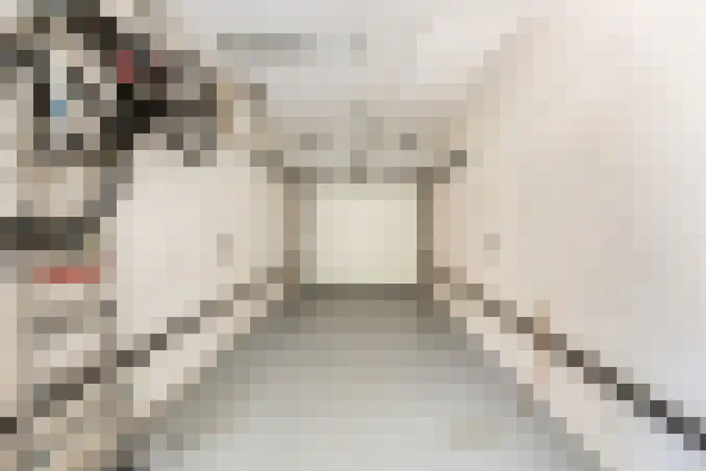 Wittezeestraat 40 Oost-Souburg thumbnail 25