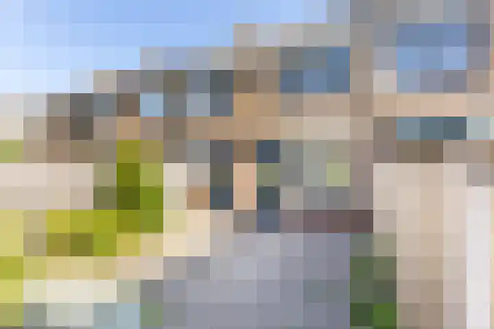 Wittezeestraat 51 Oost-Souburg thumbnail 20