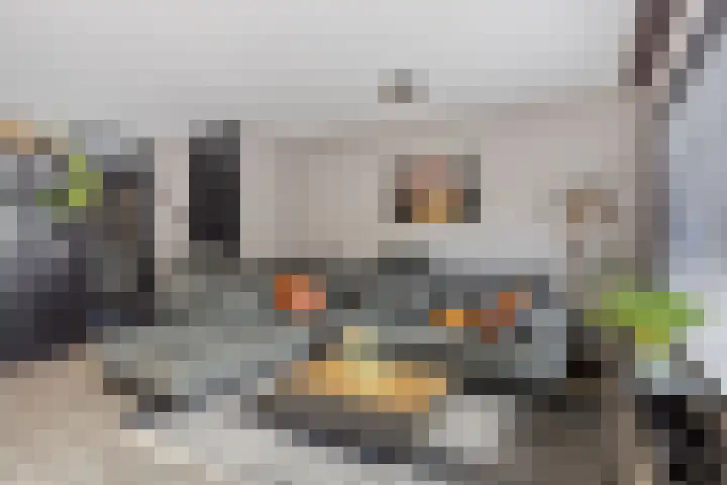Wittezeestraat 70 Lelystad thumbnail 4