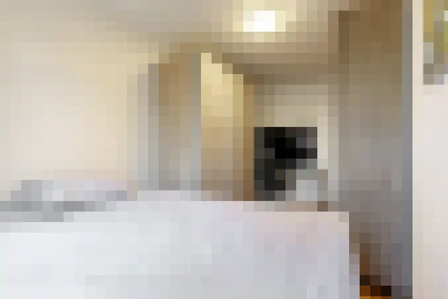 Wittgensteinlaan 106 Amsterdam thumbnail 17