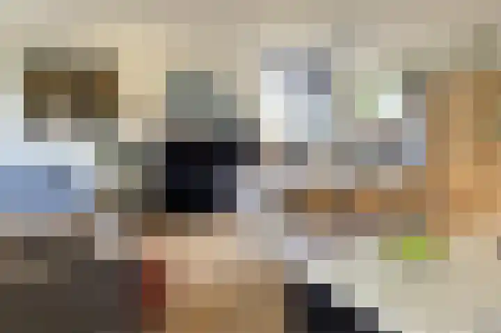 Wittgensteinlaan 117 Amsterdam thumbnail 11