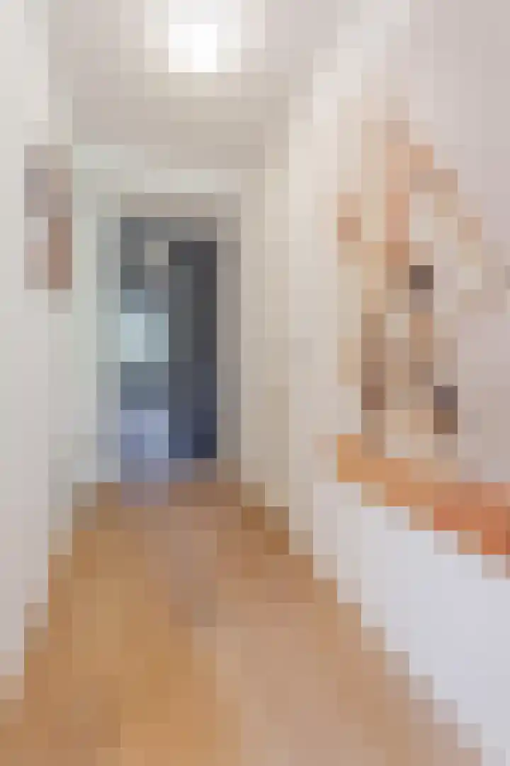 Wittgensteinlaan 117 Amsterdam thumbnail 26