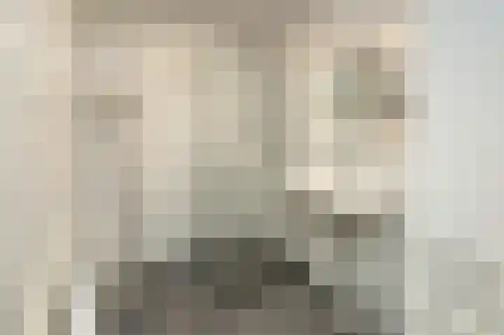 Wittgensteinlaan 117 Amsterdam thumbnail 31