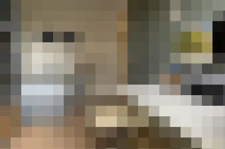 Wittgensteinlaan 117 Amsterdam thumbnail 33