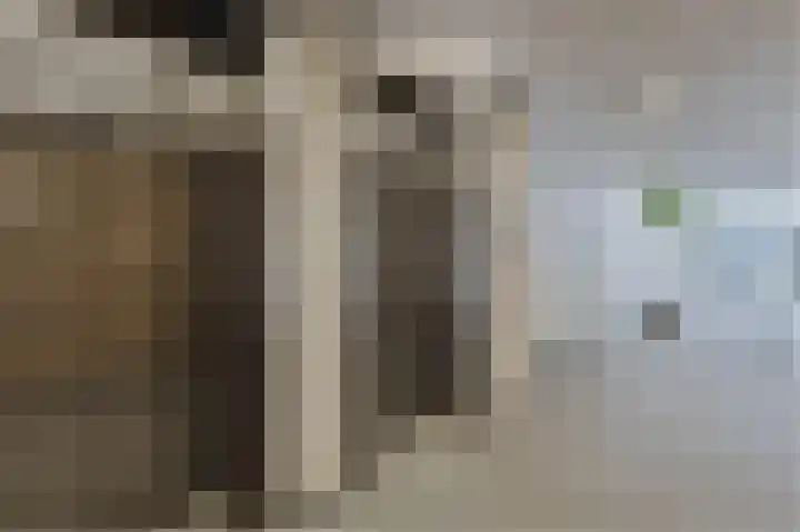 Wittgensteinlaan 117 Amsterdam thumbnail 4