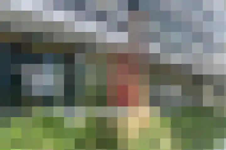 Wittgensteinlaan 117 Amsterdam thumbnail 42