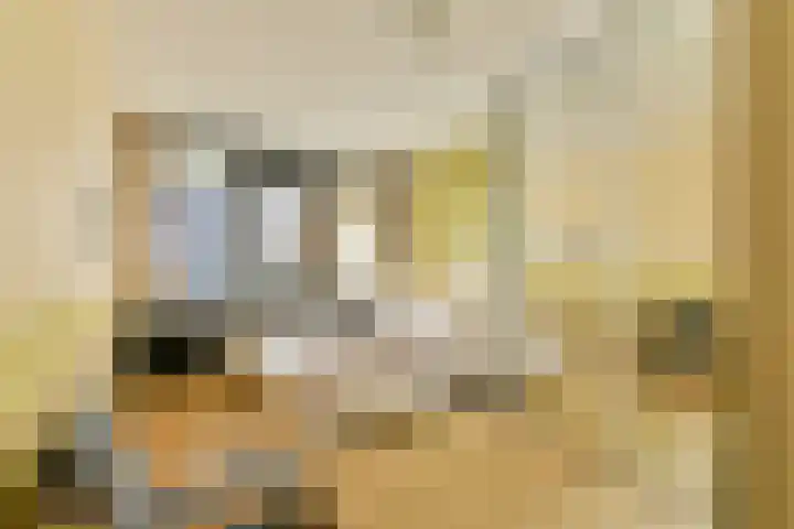 Wittgensteinlaan 123 Amsterdam thumbnail 11