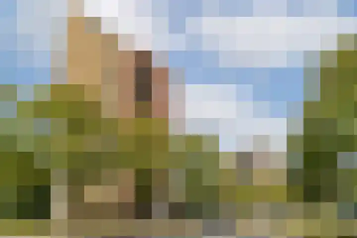 Wittgensteinlaan 123 Amsterdam thumbnail 21