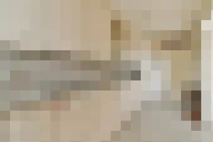 Wittgensteinlaan 123 Amsterdam thumbnail 8