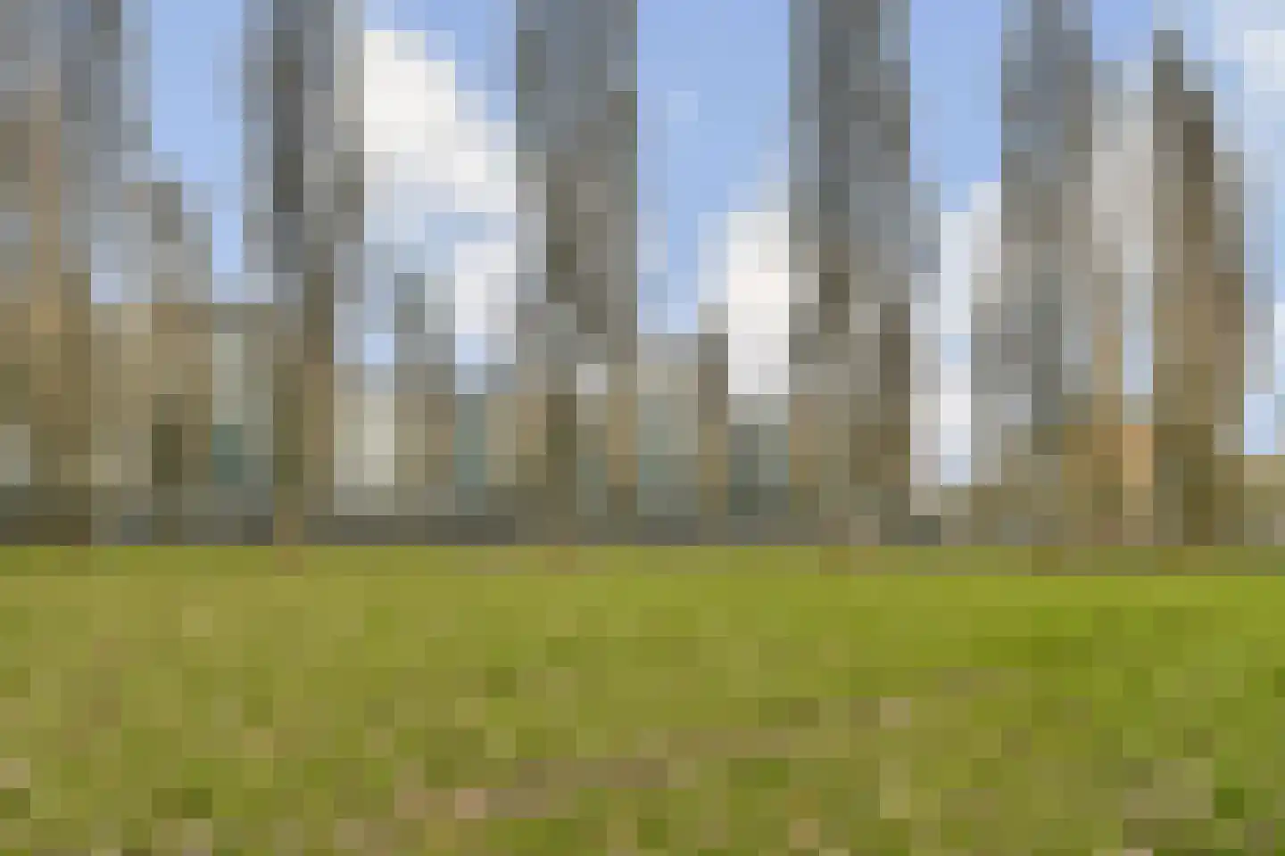 Wittgensteinlaan 129 Amsterdam thumbnail 20
