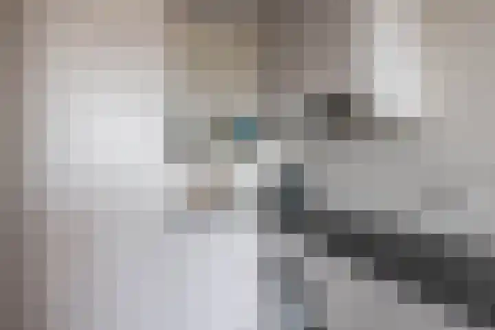Wittgensteinlaan 140 Amsterdam thumbnail 17