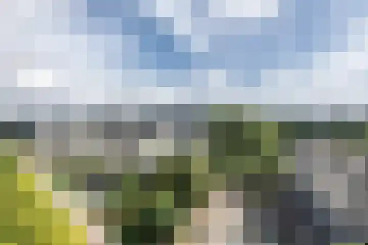 Wittgensteinlaan 140 Amsterdam thumbnail 23
