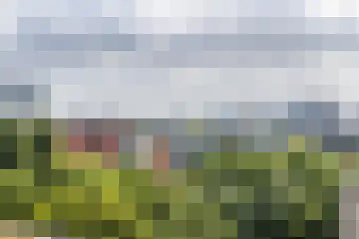 Wittgensteinlaan 140 Amsterdam thumbnail 25