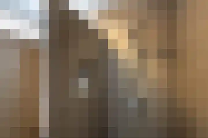 Wittgensteinlaan 140 Amsterdam thumbnail 32