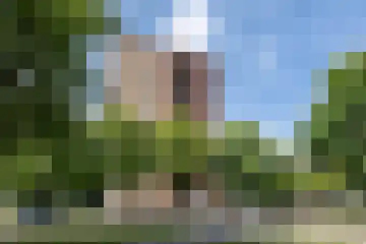 Wittgensteinlaan 140 Amsterdam thumbnail 36