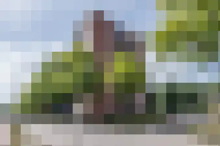 Wittgensteinlaan 140 Amsterdam thumbnail 37