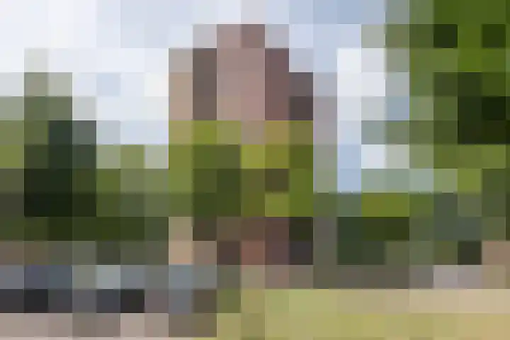 Wittgensteinlaan 140 Amsterdam thumbnail 39