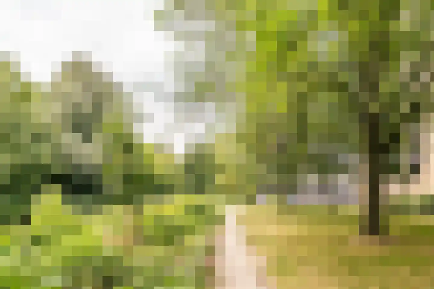 Wittgensteinlaan 18 Amsterdam thumbnail 34