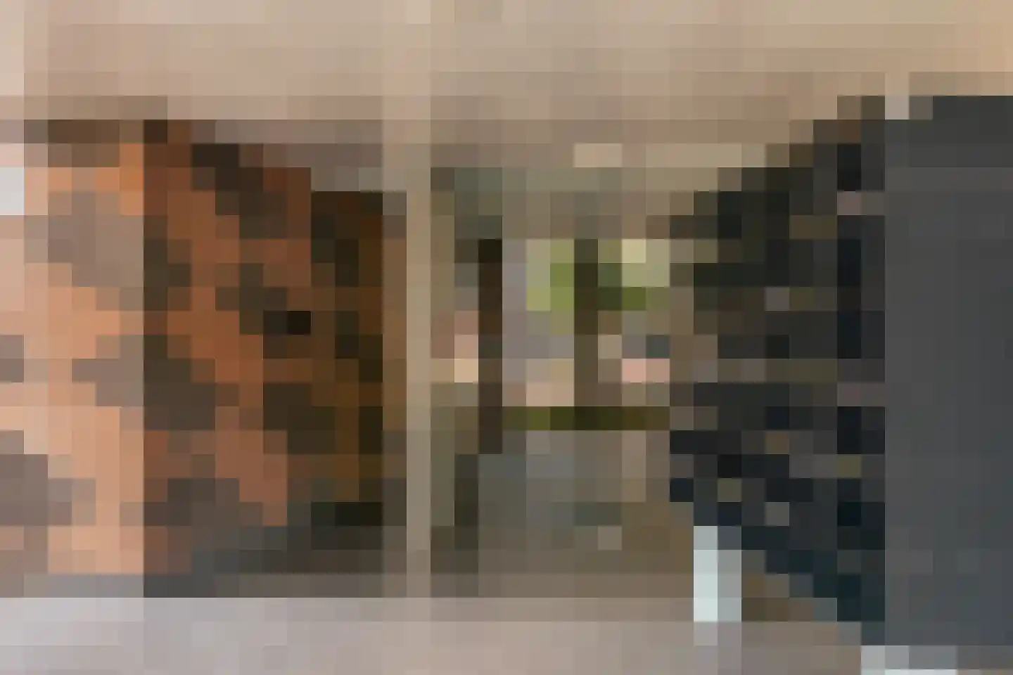Wittgensteinlaan 18 Amsterdam thumbnail 6