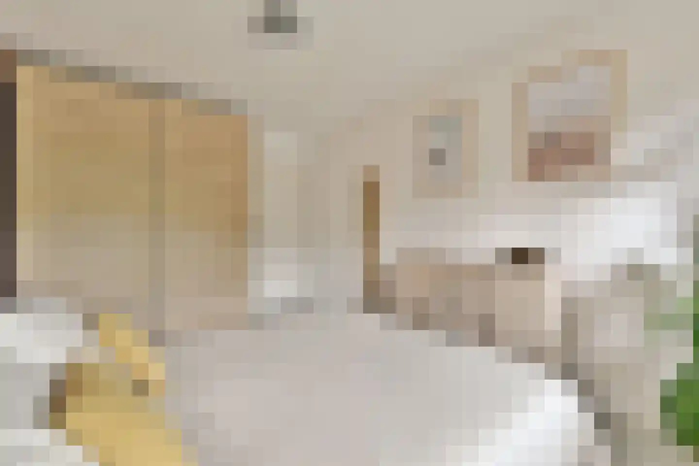 Wittgensteinlaan 199 Amsterdam thumbnail 13