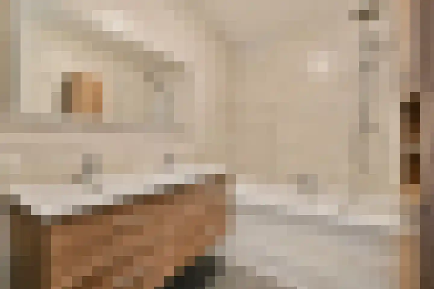 Wittgensteinlaan 199 Amsterdam thumbnail 16