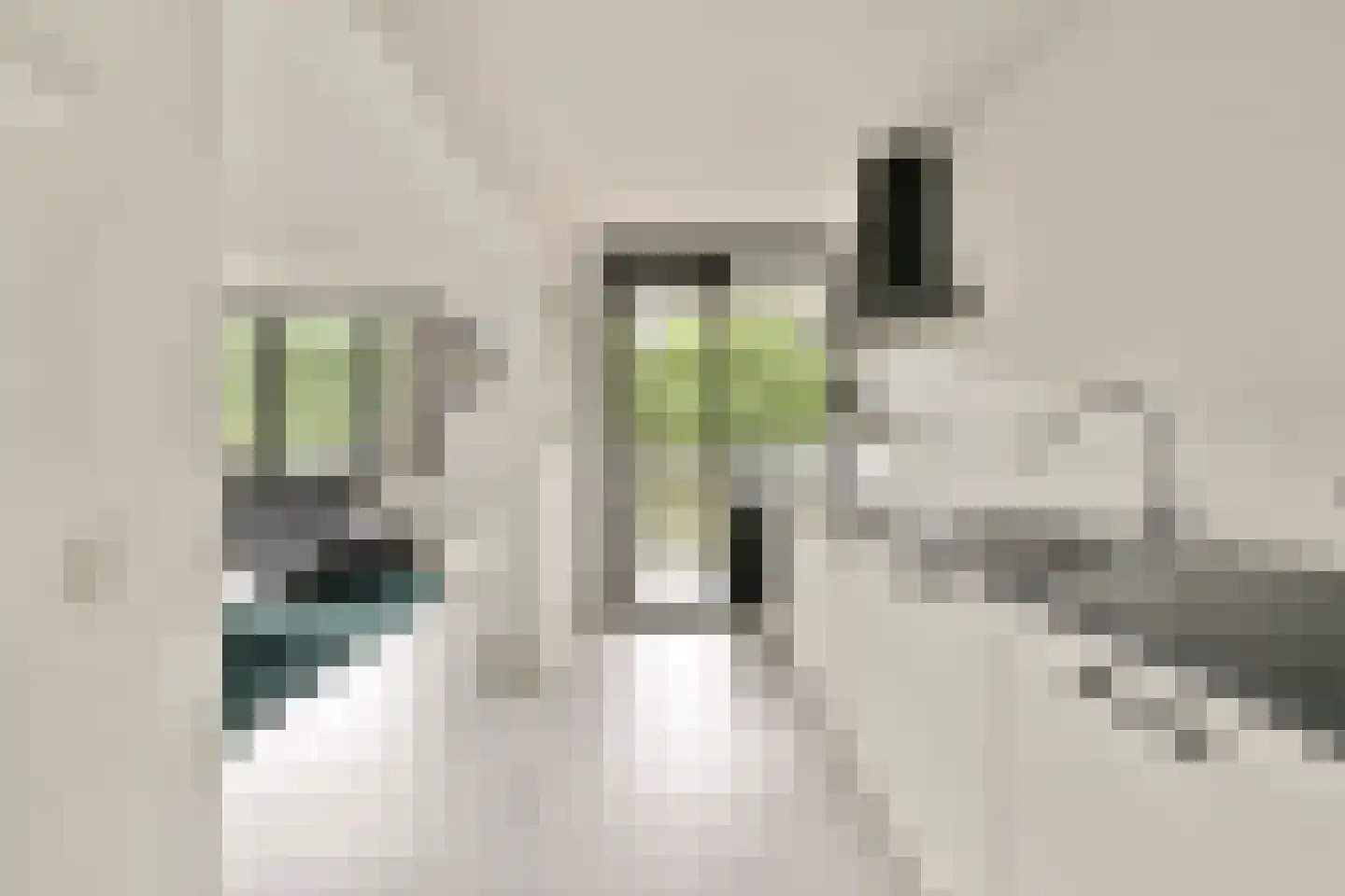 Wittgensteinlaan 199 Amsterdam thumbnail 8