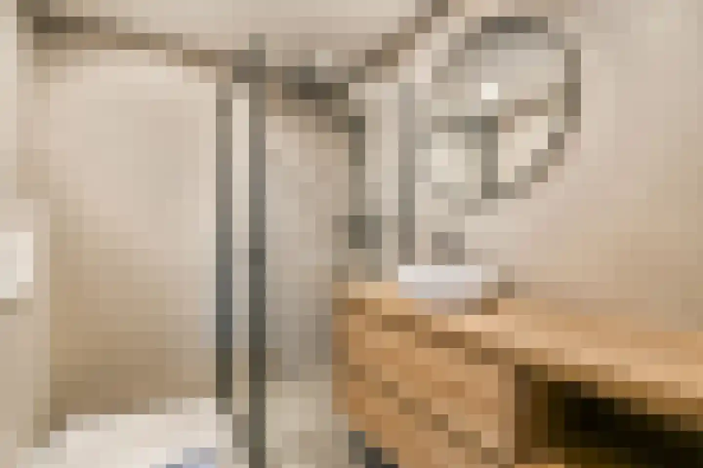 Wittgensteinlaan 214 Amsterdam thumbnail 13