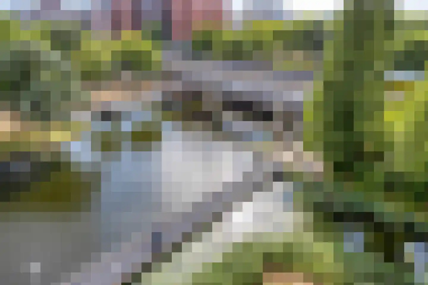 Wittgensteinlaan 221 Amsterdam thumbnail 27