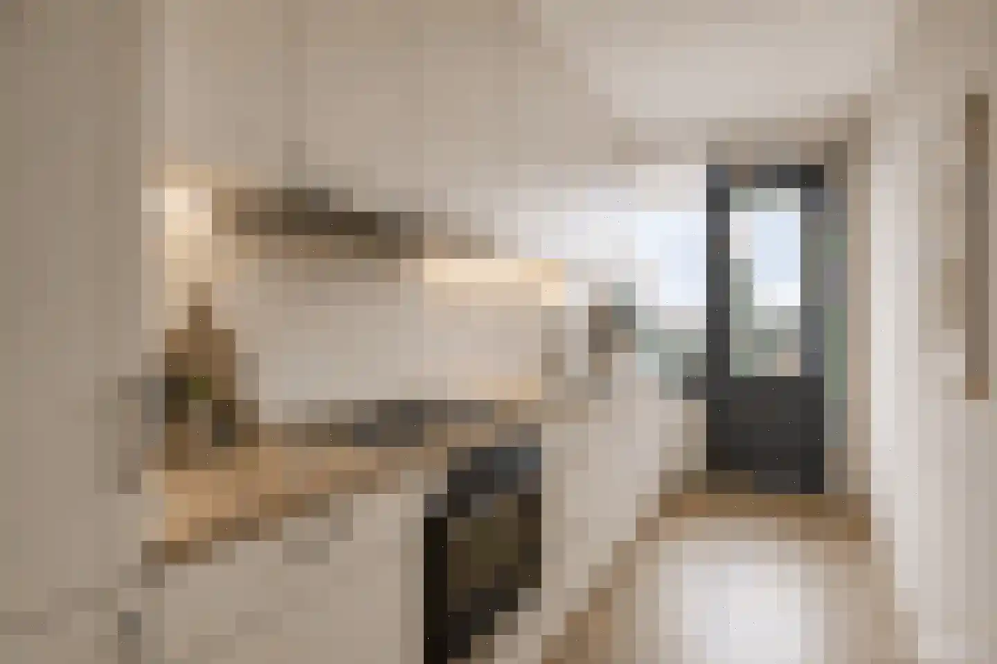 Wittgensteinlaan 221 Amsterdam thumbnail 8