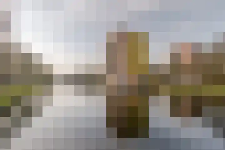 Wittgensteinlaan 225 Amsterdam thumbnail 36