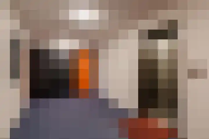 Wittgensteinlaan 225 Amsterdam thumbnail 4