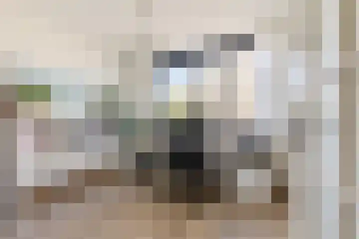 Wittgensteinlaan 241 Amsterdam thumbnail 16