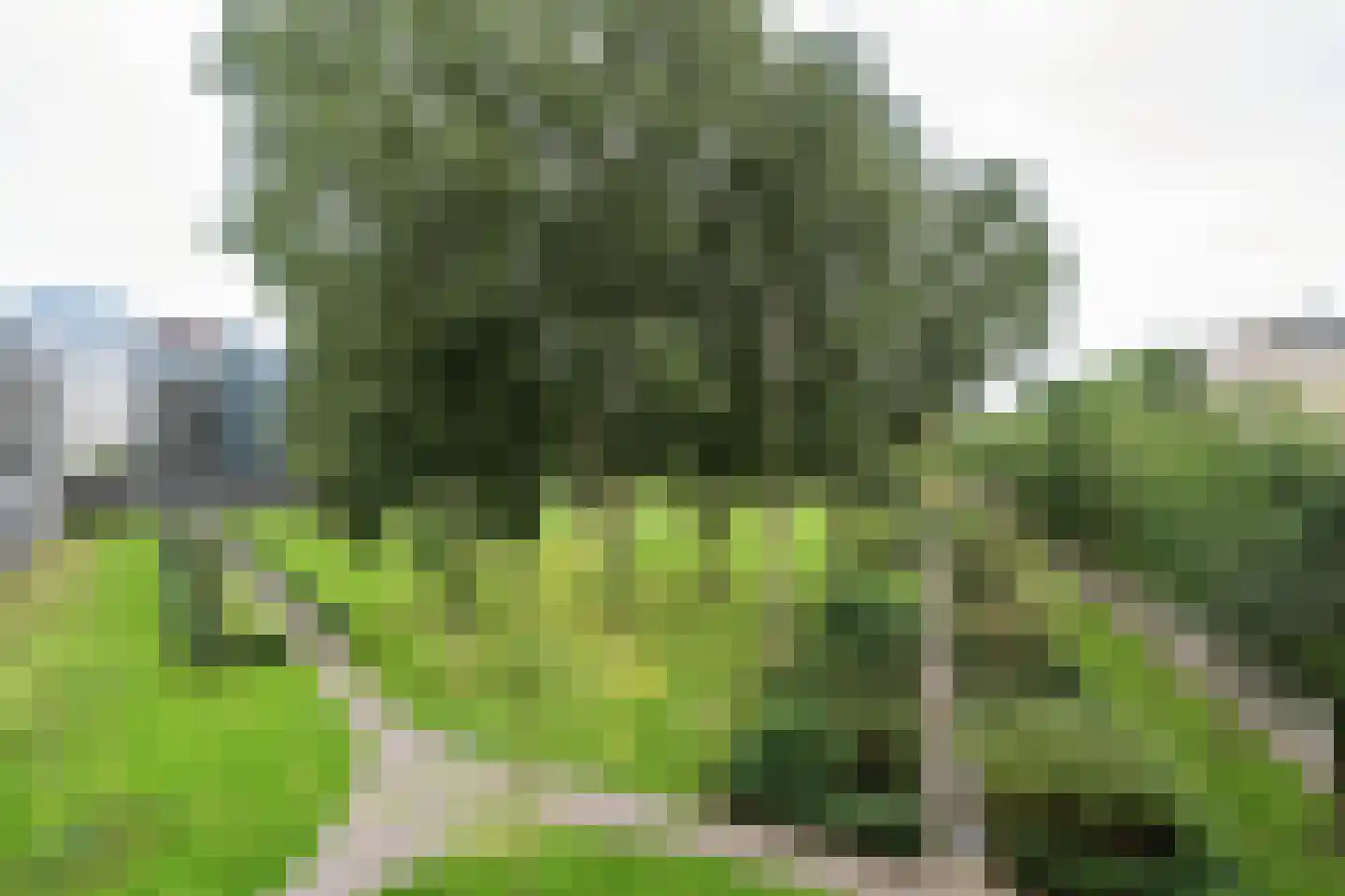 Wittgensteinlaan 263 Amsterdam thumbnail 16